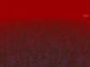 Kein Bild